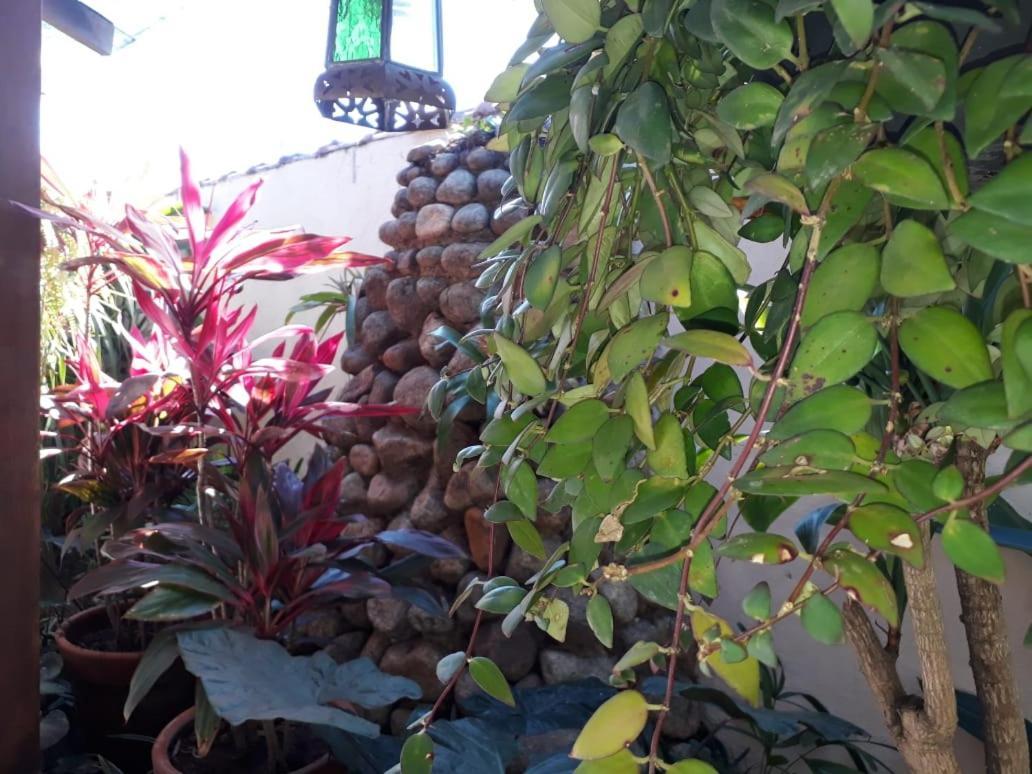Pousada Naus De باراتي المظهر الخارجي الصورة