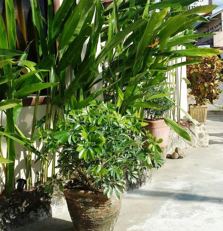Pousada Naus De باراتي المظهر الخارجي الصورة